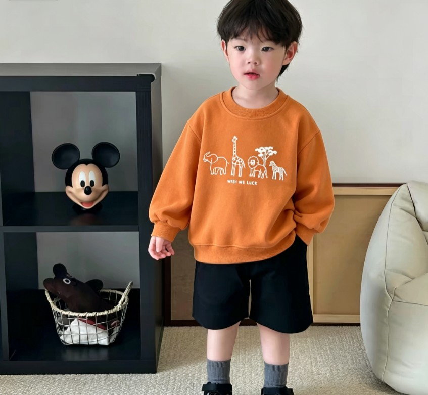 Baby Kids Casual Sweatshirt Wi - Baby Zebra Clothing recensie en prijs